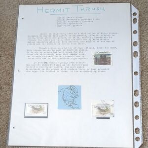 Hermit Thrush Home Design Stamp Set